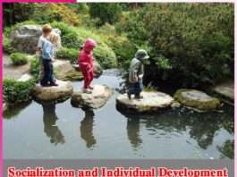 Socialization and Individual Development -sachi shiksha