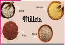 History of Indian Millets -sachi shiksha