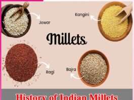 History of Indian Millets -sachi shiksha