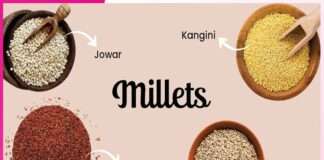 History of Indian Millets -sachi shiksha