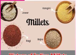 History of Indian Millets -sachi shiksha