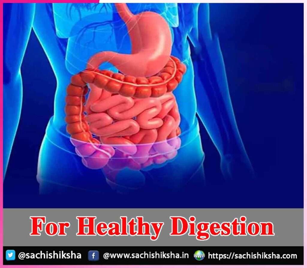 For Healthy Digestion | Sachi Shiksha