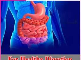 Healthy Digestion