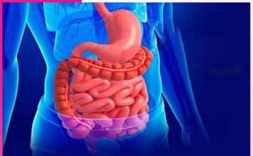 Healthy Digestion