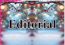 Editorial Invaluable are the Moments of Happiness