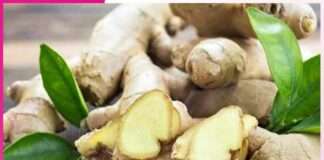 Ginger is Full of Medicinal Properties