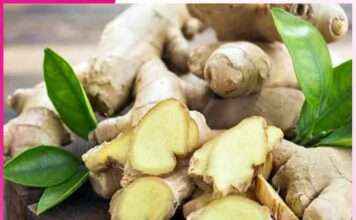 Ginger is Full of Medicinal Properties