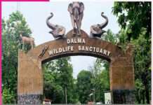 Wildlife Sanctuaries to Visit with Children