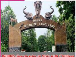 Wildlife Sanctuaries to Visit with Children