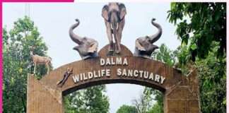 Wildlife Sanctuaries to Visit with Children