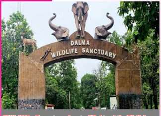 Wildlife Sanctuaries to Visit with Children