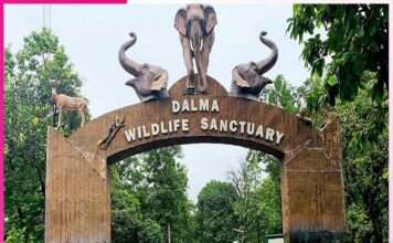 Wildlife Sanctuaries to Visit with Children