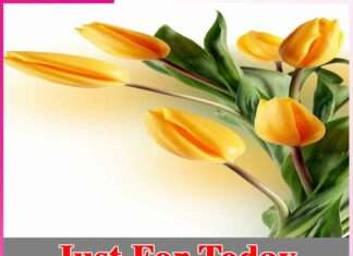 Just For Today