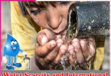 Water Scarcity and International Cooperation Efforts