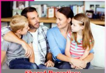 Shared Parenting A Shift From Traditional Role
