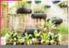 Urban Gardening in Small Spaces