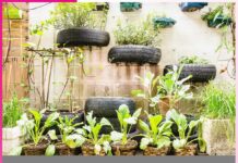 Urban Gardening in Small Spaces