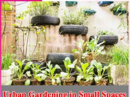Urban Gardening in Small Spaces