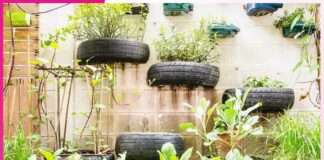 Urban Gardening in Small Spaces