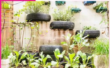 Urban Gardening in Small Spaces