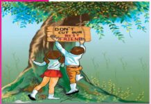 Why Trees Are Our Best Friends