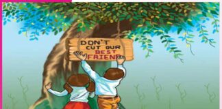 Why Trees Are Our Best Friends