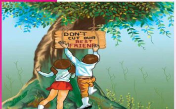 Why Trees Are Our Best Friends