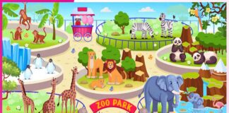 A Visit to the Zoo