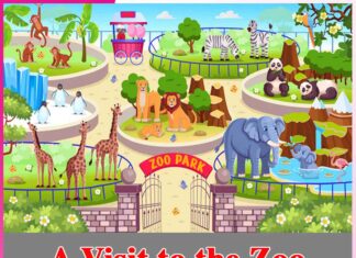 A Visit to the Zoo