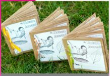 How to Make a Nature Diary