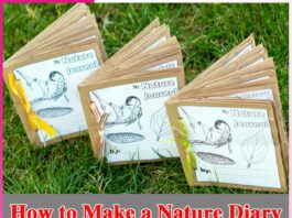 How to Make a Nature Diary