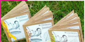 How to Make a Nature Diary