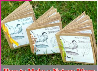 How to Make a Nature Diary