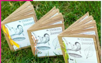 How to Make a Nature Diary