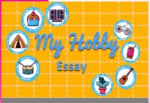 My Hobby and Why I Love It