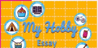 My Hobby and Why I Love It