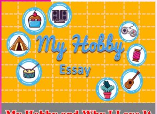 My Hobby and Why I Love It