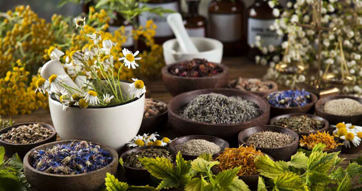 Naturopathy-1