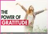 The Power of Gratitude