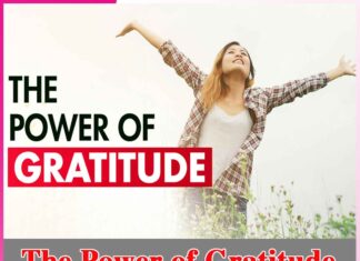 The Power of Gratitude