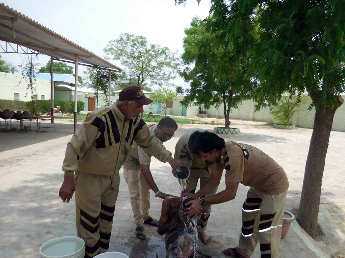 mandbudhi (5)