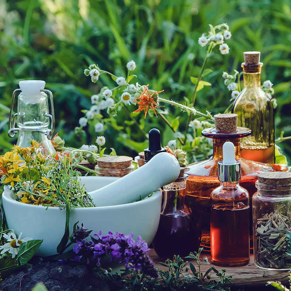 naturopathy-wordpress