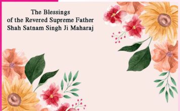 Experience Of Devotees