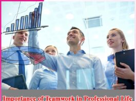 Importance of Teamwork in Professional Life