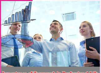 Importance of Teamwork in Professional Life