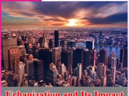 Urbanization and Its Impact