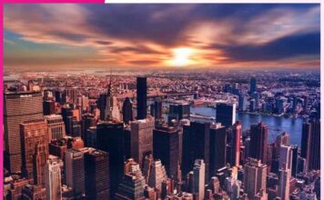 Urbanization and Its Impact
