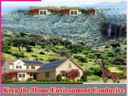 Keep the Home Environment Conducive for Studies