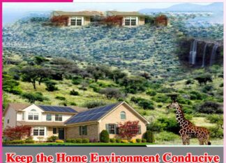 Keep the Home Environment Conducive for Studies