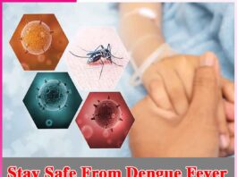 Stay Safe From Dengue Fever